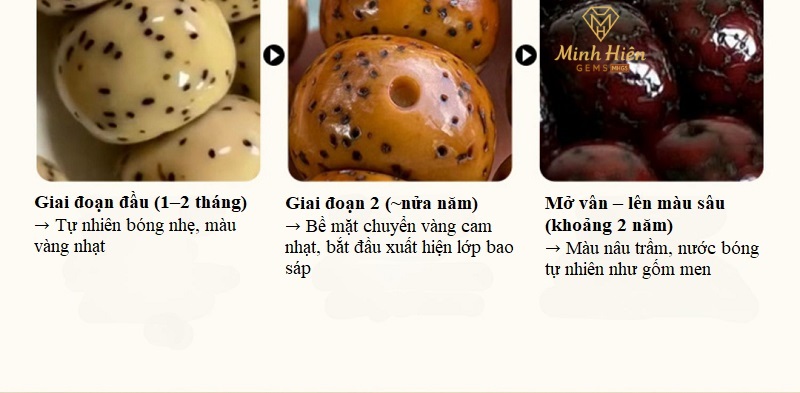 giactaman5
